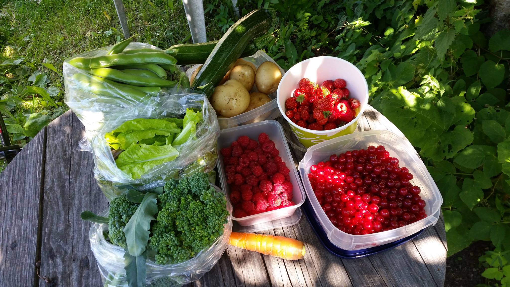 Stockholm City Farming