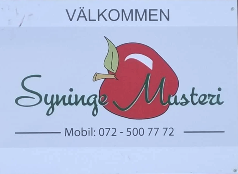 Syninge Musteri photo 1